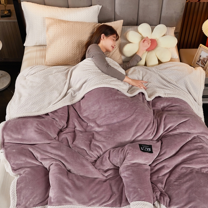 91家纺网 家纺一手货源 找家纺 （总）小燕燕 2022新款多功能可拆洗被套毯