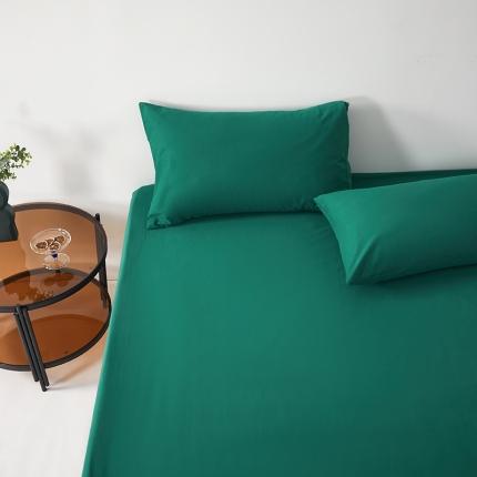 91家纺网 家纺一手货源 找家纺 （总）寝柔 2021新款秋冬加厚纯色纯棉全棉磨毛枕套单件