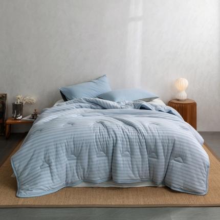 91家纺网 家纺一手货源 找家纺 风向标 2022新款全棉针织棉大豆秋冬被 婴儿蓝中条