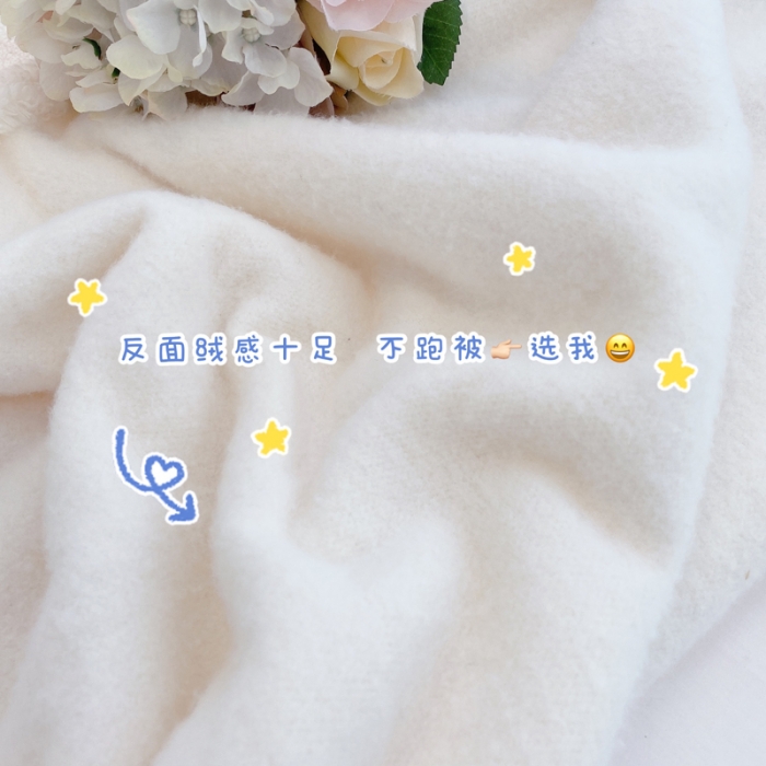 91家纺网 家纺一手货源 找家纺 （总）玛奇朵 2021秋冬新款240克进口泰迪绒四件套-仙朵