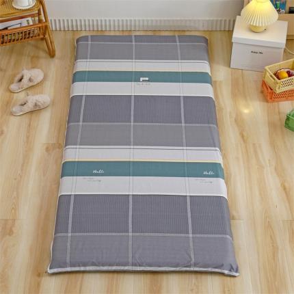 91家纺网 家纺一手货源 找家纺 凌云家纺 2021新款棉加绒床垫套 波尔兰卡绿