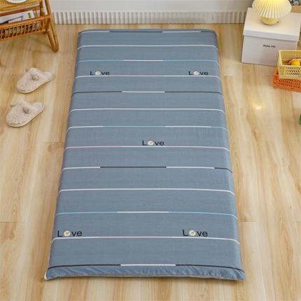 91家纺网 家纺一手货源 找家纺 凌云家纺 2021新款棉加绒床垫套 雏菊暗恋灰