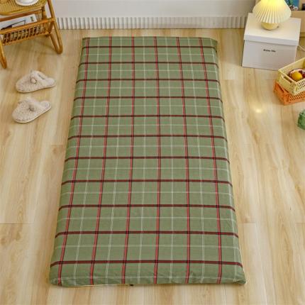 91家纺网 家纺一手货源 找家纺 凌云家纺 2021新款棉加绒床垫套 可可-绿