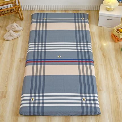 91家纺网 家纺一手货源 找家纺 凌云家纺 2021新款棉加绒床垫套 品质生活灰