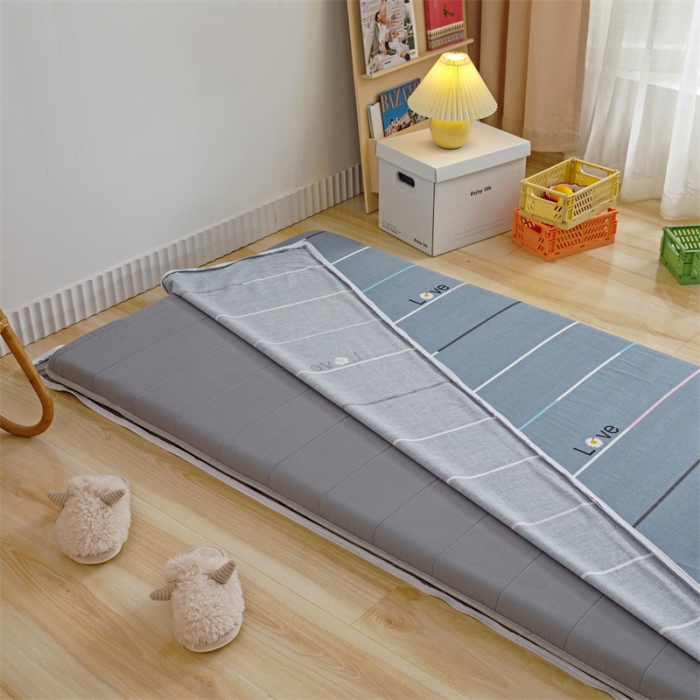 91家纺网 家纺一手货源 找家纺 凌云家纺 2021新款棉加绒床垫套 雏菊暗恋灰