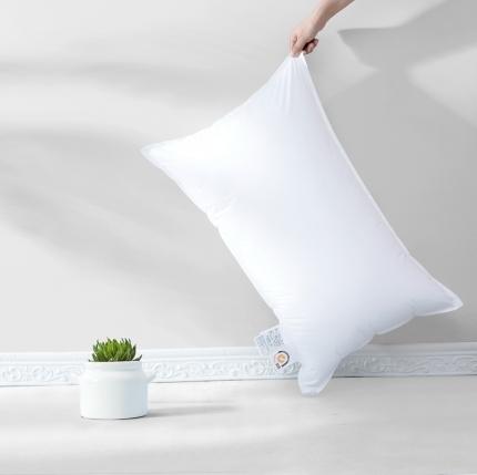 91家纺网 家纺一手货源 找家纺 总酒店防羽布双针边羽丝绒枕枕头枕芯 