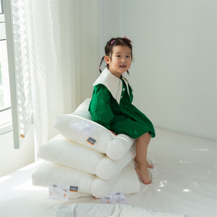 91家纺网 家纺一手货源 找家纺 多点 2021新款艾瑞枕 整枕（PE软管）