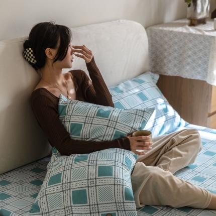 寐眠 2021新款全棉磨毛印花枕套48*74cm一对 遇见-格调蓝