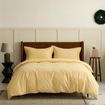 91家纺网 家纺一手货源 找家纺 （总）涞澳家纺 2021新款50支磨绒纯色四件套-风格二