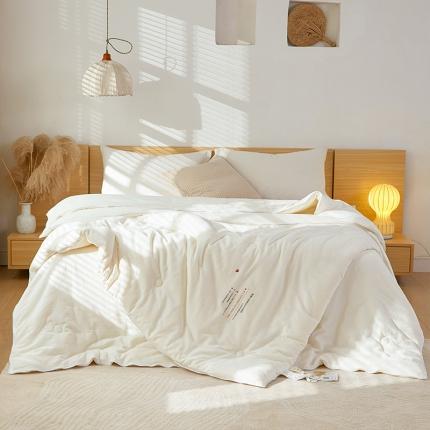 91家纺网 家纺一手货源 找家纺 纪梵茜 2025新款原棉大豆子母被51大豆二合一拉链子母被