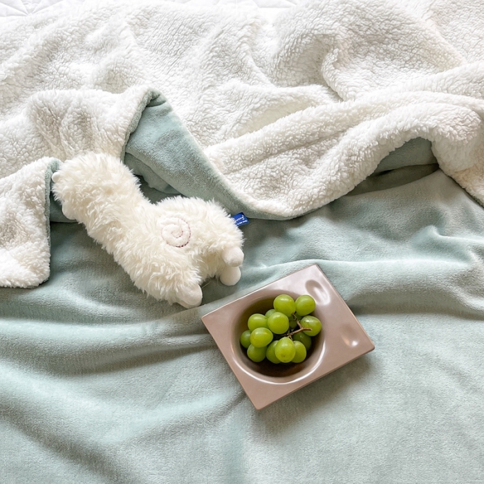 91家纺网 家纺一手货源 找家纺 昔可家纺 2021新款素色牛奶绒羊羔绒毛毯 奶油绿