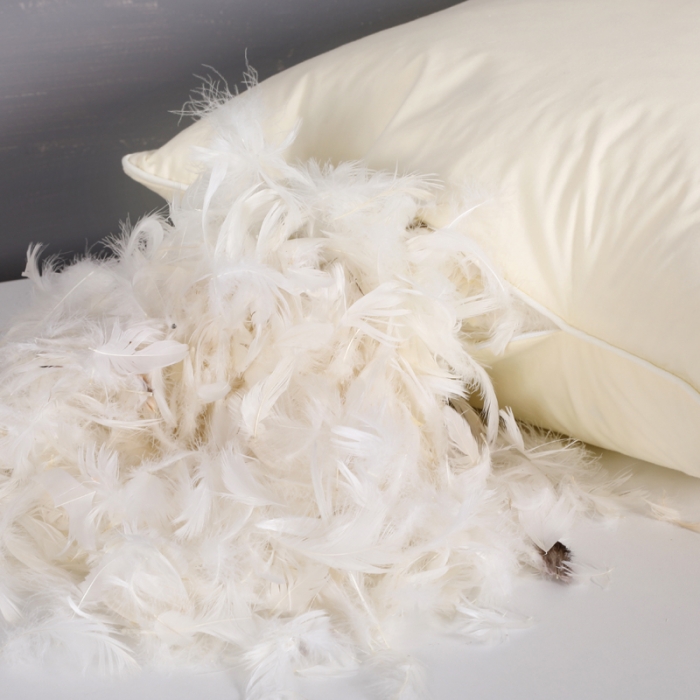 91家纺网 家纺一手货源 找家纺 羽仙子2023新品爆款全棉鹅毛枕工艺羽绒枕鹅绒枕头枕芯黄色