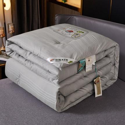 91家纺网 家纺一手货源 找家纺 （总）伊人居 2021新款珍珠洋暖绒大豆被