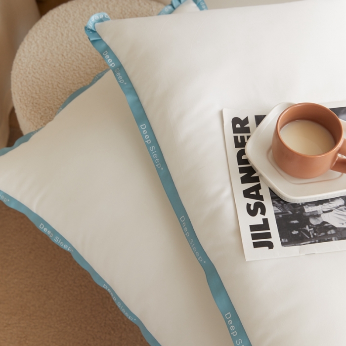 91家纺网 家纺一手货源 找家纺 （总）伟邦枕芯 2021新款日式飞边羽丝绒枕（棚拍图）