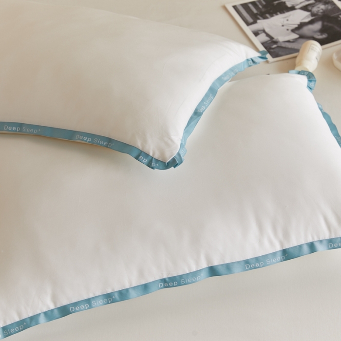 91家纺网 家纺一手货源 找家纺 （总）伟邦枕芯 2021新款日式飞边羽丝绒枕（棚拍图）