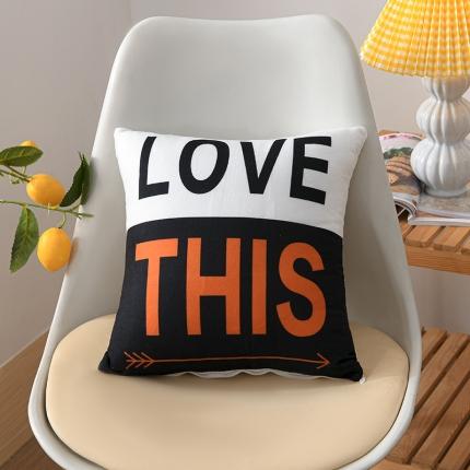 91家纺网 家纺一手货源 找家纺 （总）仁宇 2021新款枕芯赠品礼品会销卡通抱枕头靠垫