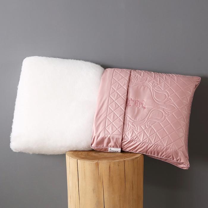 91家纺网 家纺一手货源 找家纺 真丝绗缝热熔棉可水洗枕芯护颈整张棉安睡高回弹成人助眠单人枕头