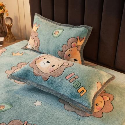 （总）喜居 2021新款雪花绒单枕套