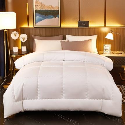 91家纺网 家纺一手货源 找家纺 （总）澳洲羽 2024新款160克加厚磨毛冬被被子被芯春秋被