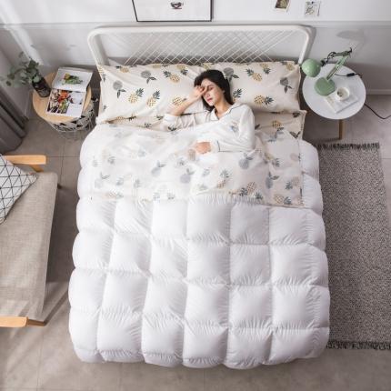 （总）怡家居  全棉隔脏睡袋印花系列