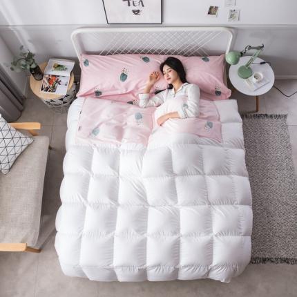 91家纺网 家纺一手货源 找家纺 怡家居  全棉隔脏睡袋印花系列 仙人掌