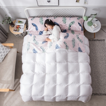 91家纺网 家纺一手货源 找家纺 （总）怡家居  全棉隔脏睡袋印花系列