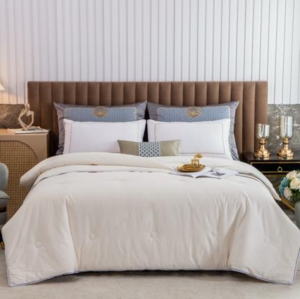 梦享生活家居  2021新款13372大豆子母被 珍珠白