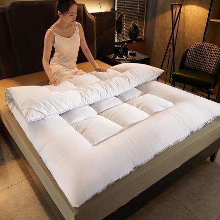 91家纺网 家纺一手货源 找家纺 羽涵家纺大豆纤维学生床垫成人款 白色