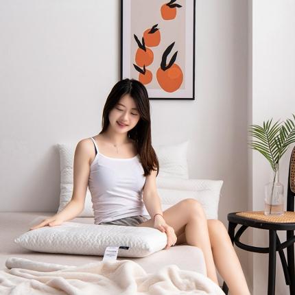 91家纺网 家纺一手货源 找家纺 （总）雅诗帛2025新款亲肤柔和护颈枕头枕芯