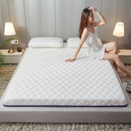 棕康 2021新款乳胶硬质棉单边床垫-六边形白色 菱格白