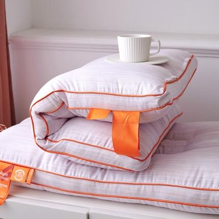 （总）赛格时代家居 健康舒适羽丝绒枕 枕头 低枕