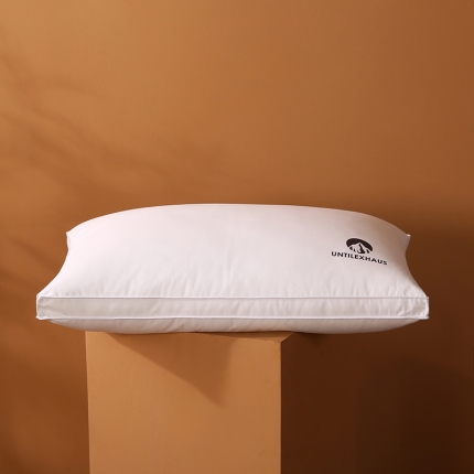 91家纺网 家纺一手货源 找家纺 2022全棉133*100防羽布烫染仪征羽丝绒枕头酒店枕芯