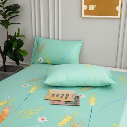 91家纺网 家纺一手货源 找家纺 （总）首爱家纺 2025新款13070纯棉斜纹枕套全棉一对