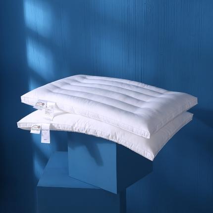 91家纺网 家纺一手货源 找家纺 贤内助 2024新款简约定型枕枕头枕芯48*74cm