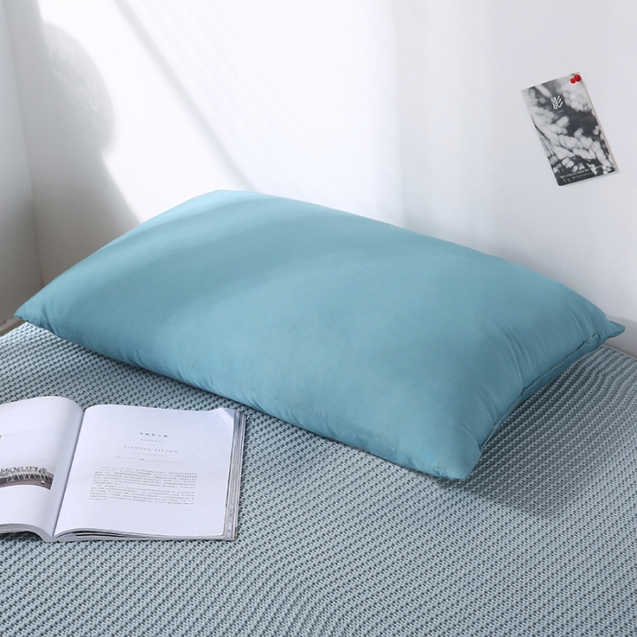 91家纺网 家纺一手货源 找家纺 （总）贤内助 2024新款柔赛丝羽丝枕枕芯枕头