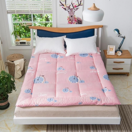 91家纺网 家纺一手货源 找家纺 （总）梦莱发被业 2025新款芦荟棉软垫被