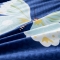 91家纺网 家纺一手货源 找家纺 梦莱发被业 2024新款芦荟棉软垫被 蝴蝶飞飞
