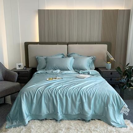 91家纺网 家纺一手货源 找家纺 娇逸家居 2022年新款天丝提花夏被贝壳系列 贝壳月光蓝