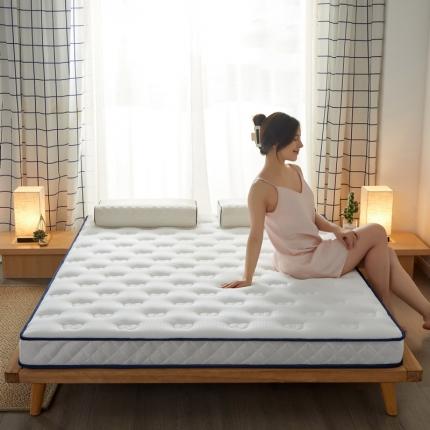 91家纺网 家纺一手货源 找家纺 （总）祁恋婷 2022新款双人乳胶记忆棉床垫【床垫遮盖物】