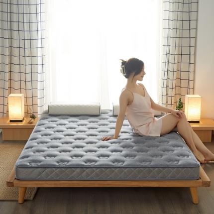 91家纺网 家纺一手货源 找家纺 （总）祁恋婷 2022新款双人乳胶记忆棉床垫【床垫遮盖物】