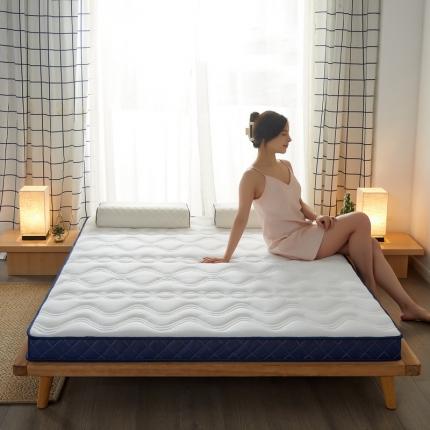 91家纺网 家纺一手货源 找家纺 （总）祁恋婷 2022新款双人乳胶记忆棉床垫【床垫遮盖物】