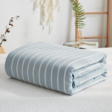 91家纺网 家纺一手货源 找家纺 暖阳 2023全棉色织大豆被 大豆被-浅蓝小格