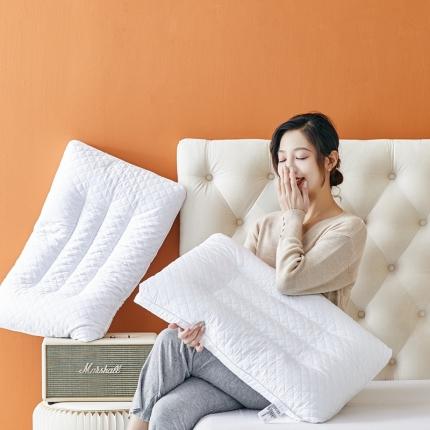 （总）星芯合家纺 2024新款荞麦羽丝双面枕48*74