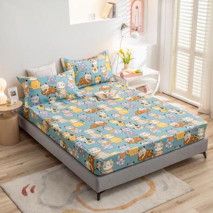 绵庭 2022新款全棉12868单床笠 喵达人