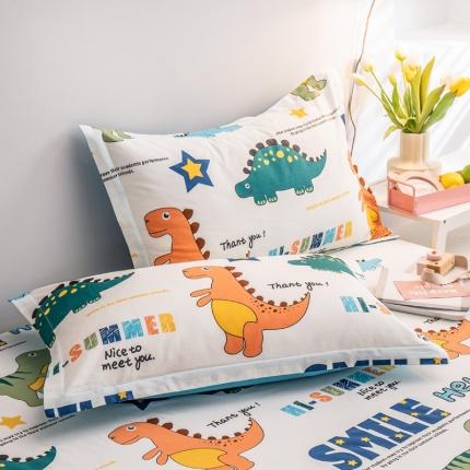 绵庭 2022新款全棉12868单枕套 恐龙漫画