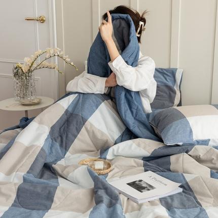 寐眠2022新款全棉色织水洗棉夏被子被芯（棉花芯） 蓝大格