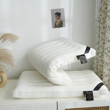 91家纺网 家纺一手货源 找家纺 （总）赛格时代家居 牛奶绒舒适护颈羽丝绒枕头 低枕