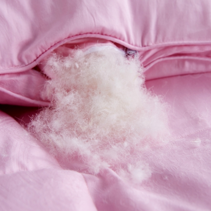 91家纺网 家纺一手货源 找家纺 羽仙子2023新款双层大提花羽绒被白鸭绒被被子 丽莎-粉色