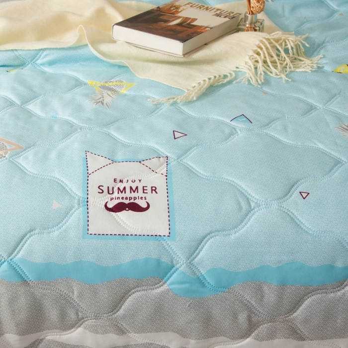 91家纺网 家纺一手货源 找家纺 爱派 2022新款磨毛印花夏凉被夏被空调被夏被空调被 菠萝