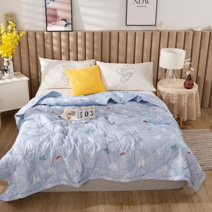 91家纺网 家纺一手货源 找家纺 (总)爱派 2022新款亲肤棉印花夏被空调被夏凉被被子被芯